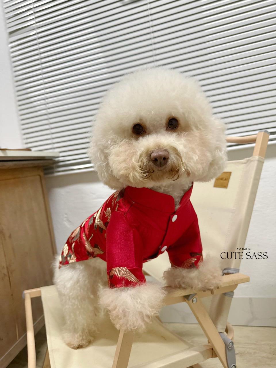 Pet Red Gam Tassel Ao Dai 14-15B| Pet Ao Dai Costume | Vietnamese Pet Outfit | Cute Dog and Cat Ao Dai | Lunar New Year Pet Clothes |