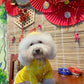Pet Yellow Gam Traditional Ao Dai with Khan Dong (Headband) 3B