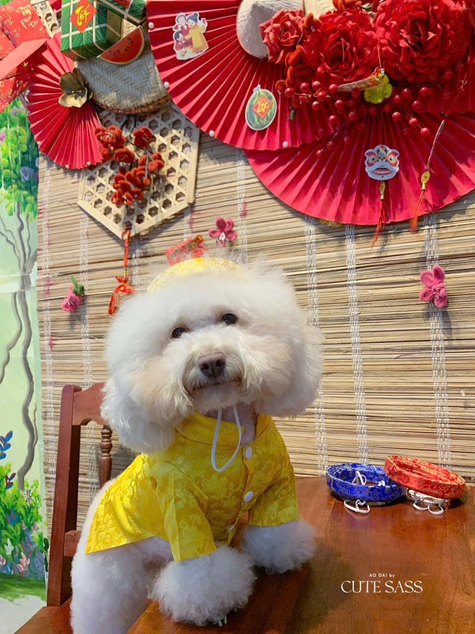 Pet Yellow Gam Traditional Ao Dai with Khan Dong (Headband) 3B