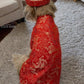 Pet Red Gam Traditional Ao Dai with Khan Dong (Headband) |Vietnamese Pet Outfit|Cute Dog and Cat Ao Dai|Lunar New Year Pet Clothes|