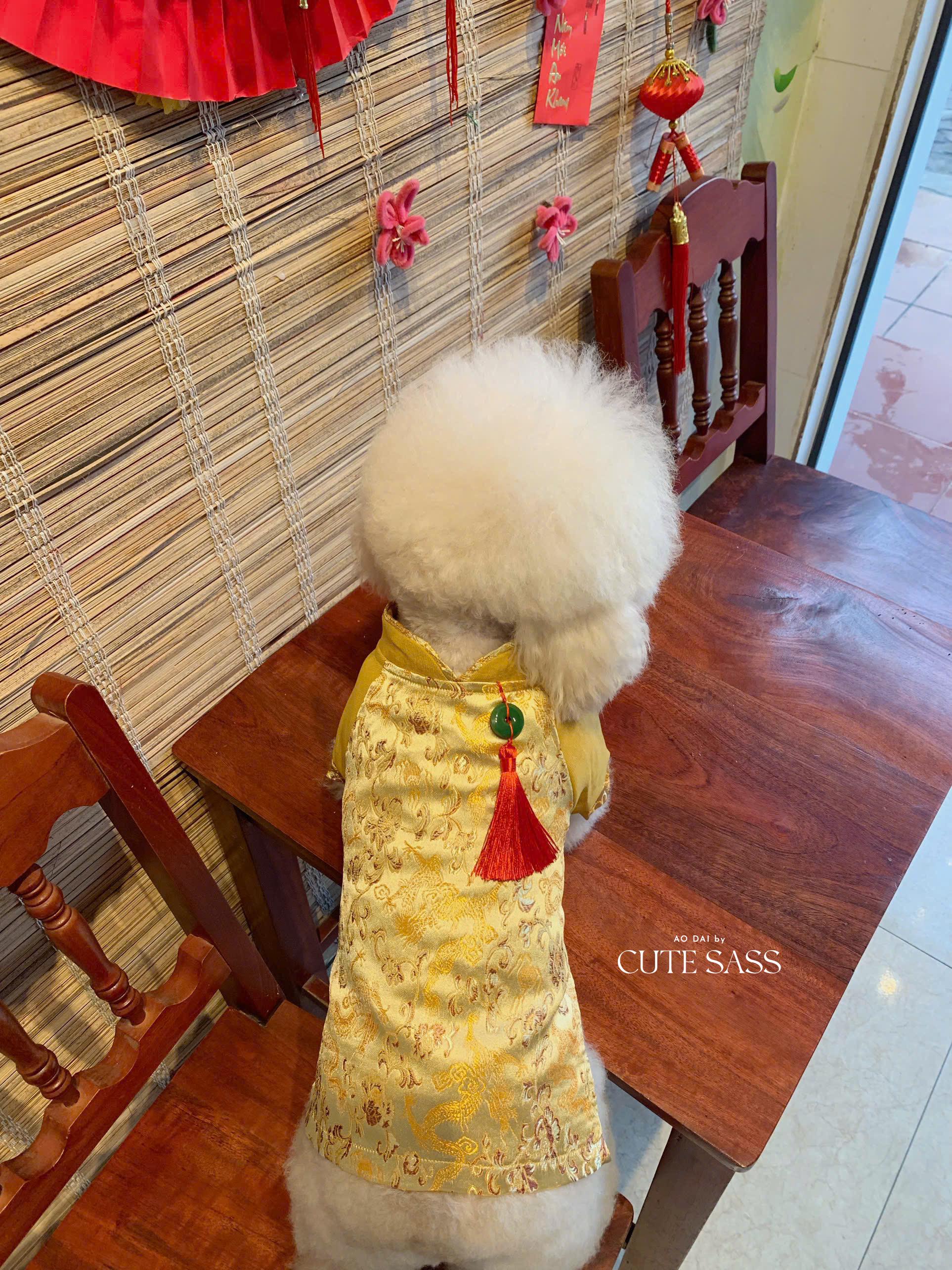 Pet Yellow Gam Red Tassel Ao Dai 14-15B| Pet Ao Dai Costume | Vietnamese Pet Outfit | Cute Dog and Cat Ao Dai | Lunar New Year Pet Clothes