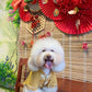 Pet Yellow Gam Red Tassel Ao Dai 14-15B| Pet Ao Dai Costume | Vietnamese Pet Outfit | Cute Dog and Cat Ao Dai | Lunar New Year Pet Clothes