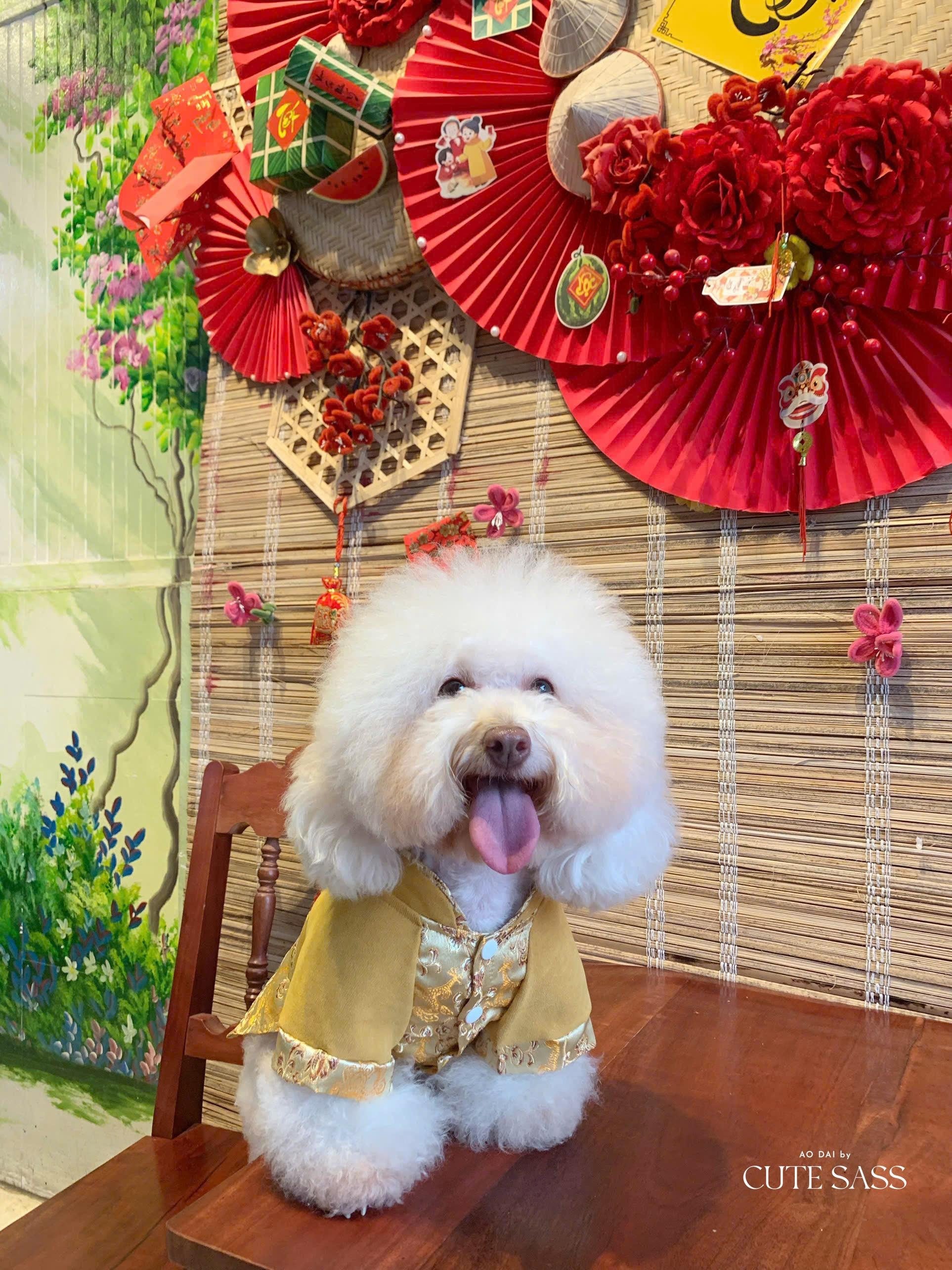 Pet Yellow Gam Red Tassel Ao Dai 14-15B| Pet Ao Dai Costume | Vietnamese Pet Outfit | Cute Dog and Cat Ao Dai | Lunar New Year Pet Clothes