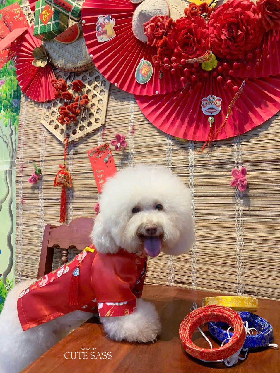 Pet Gam with Buttons Ao Dai (Red, Blue, Yellow| Pet Ao Dai Costume | Vietnamese Pet Outfit | Cute Dog and Cat Ao Dai | Lunar New Year Pet