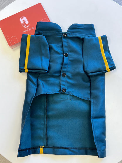 Pet Blue Banh Tet Tassel Ao Dai 3B