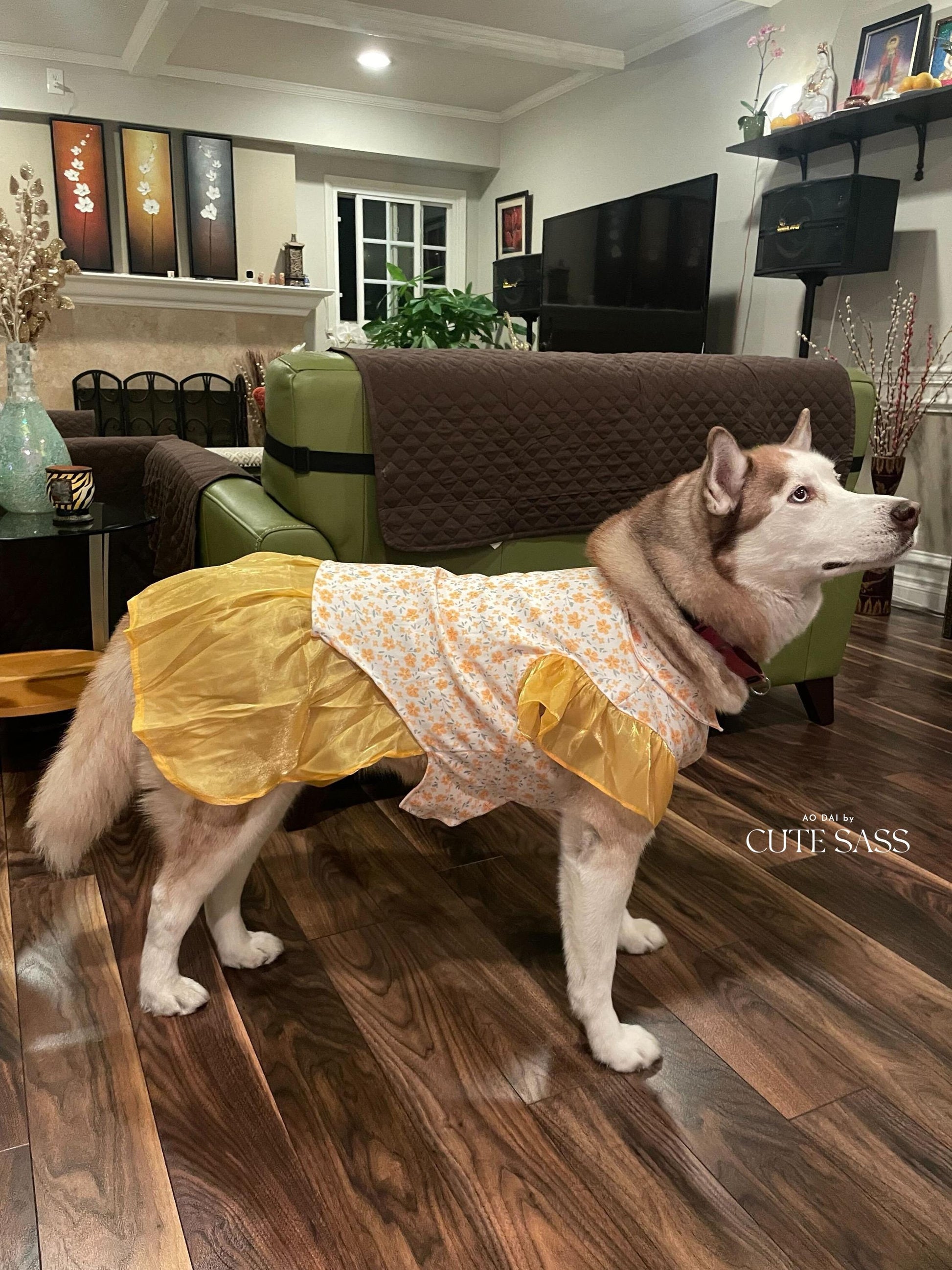 Pet Yellow Wing Sleeves Daisy Ao Dai 14-15B| Pet Vietnamese Ao Dai Outfit | Cute Dog and Cat Ao Dai | Lunar New Year Pet Clothes |