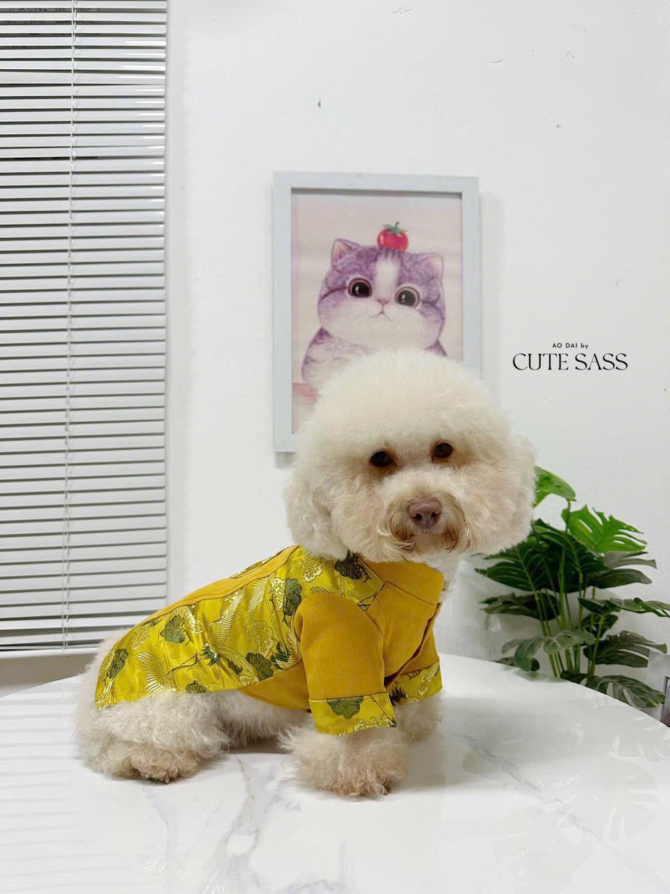 Pet Yellow Gam Tassel Ao Dai 14-15B| Pet Ao Dai Costume | Vietnamese Pet Outfit | Cute Dog and Cat Ao Dai | Lunar New Year Pet Clothes |