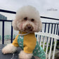 Pet Cyan/Yellow Daisy Ao Dai 14-15B| Pet Vietnamese Ao Dai Outfit | Cute Dog and Cat Ao Dai | Lunar New Year Pet Clothes |