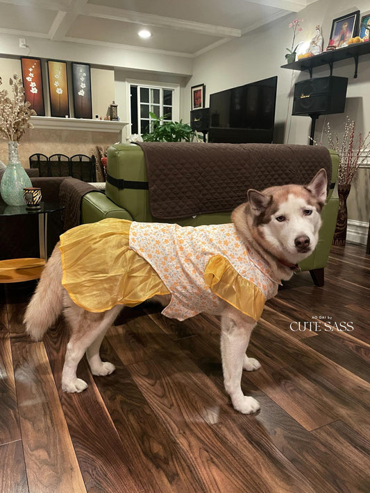 Pet Yellow Wing Sleeves Daisy Ao Dai 14-15B| Pet Vietnamese Ao Dai Outfit | Cute Dog and Cat Ao Dai | Lunar New Year Pet Clothes |