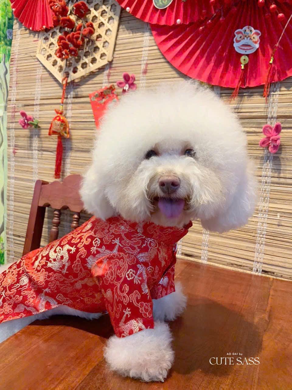 Pet Red Gam Traditional Ao Dai with Khan Dong (Headband) |Vietnamese Pet Outfit|Cute Dog and Cat Ao Dai|Lunar New Year Pet Clothes|