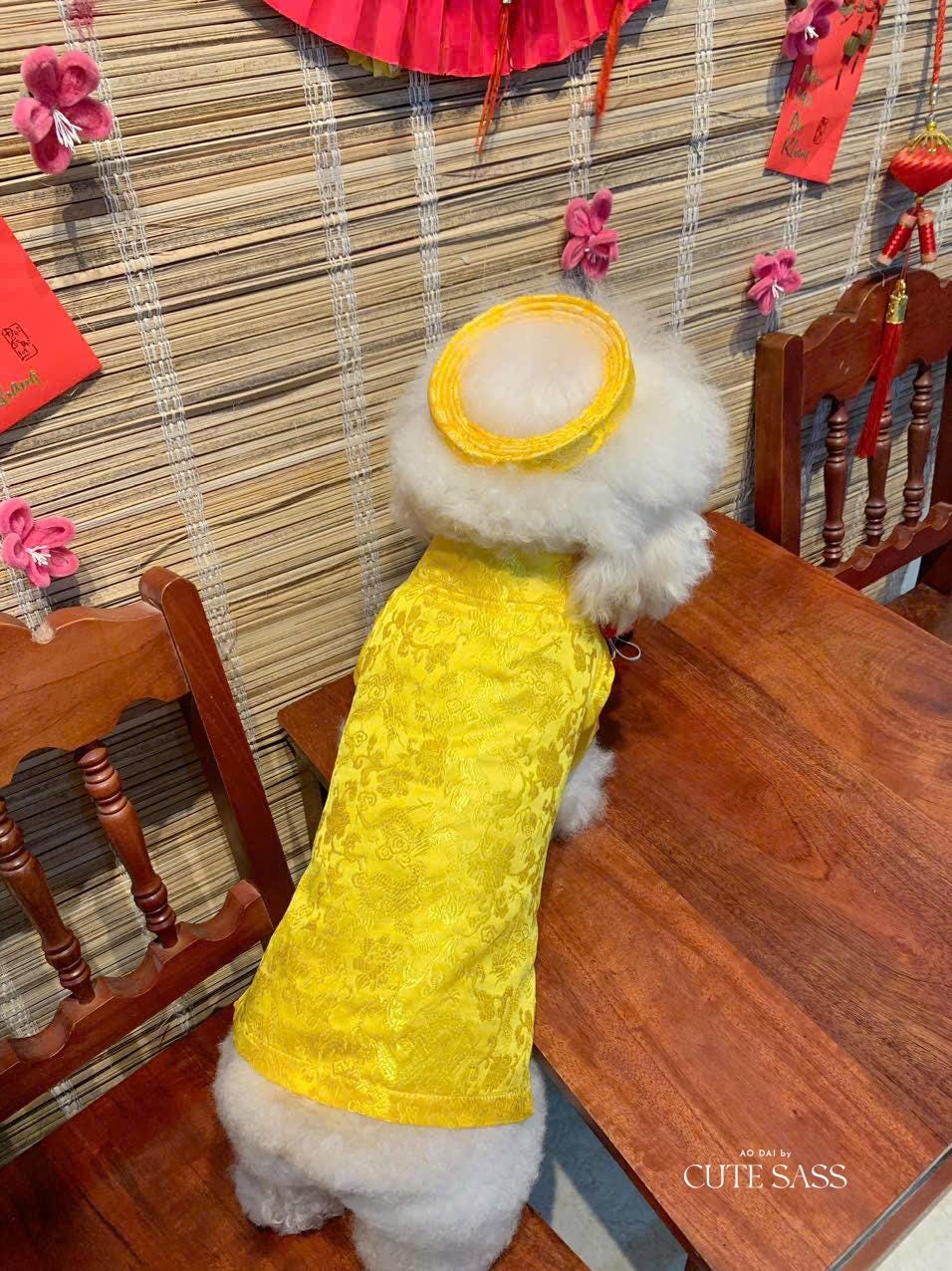 Pet Yellow Gam Traditional Ao Dai with Khan Dong (Headband) 3B