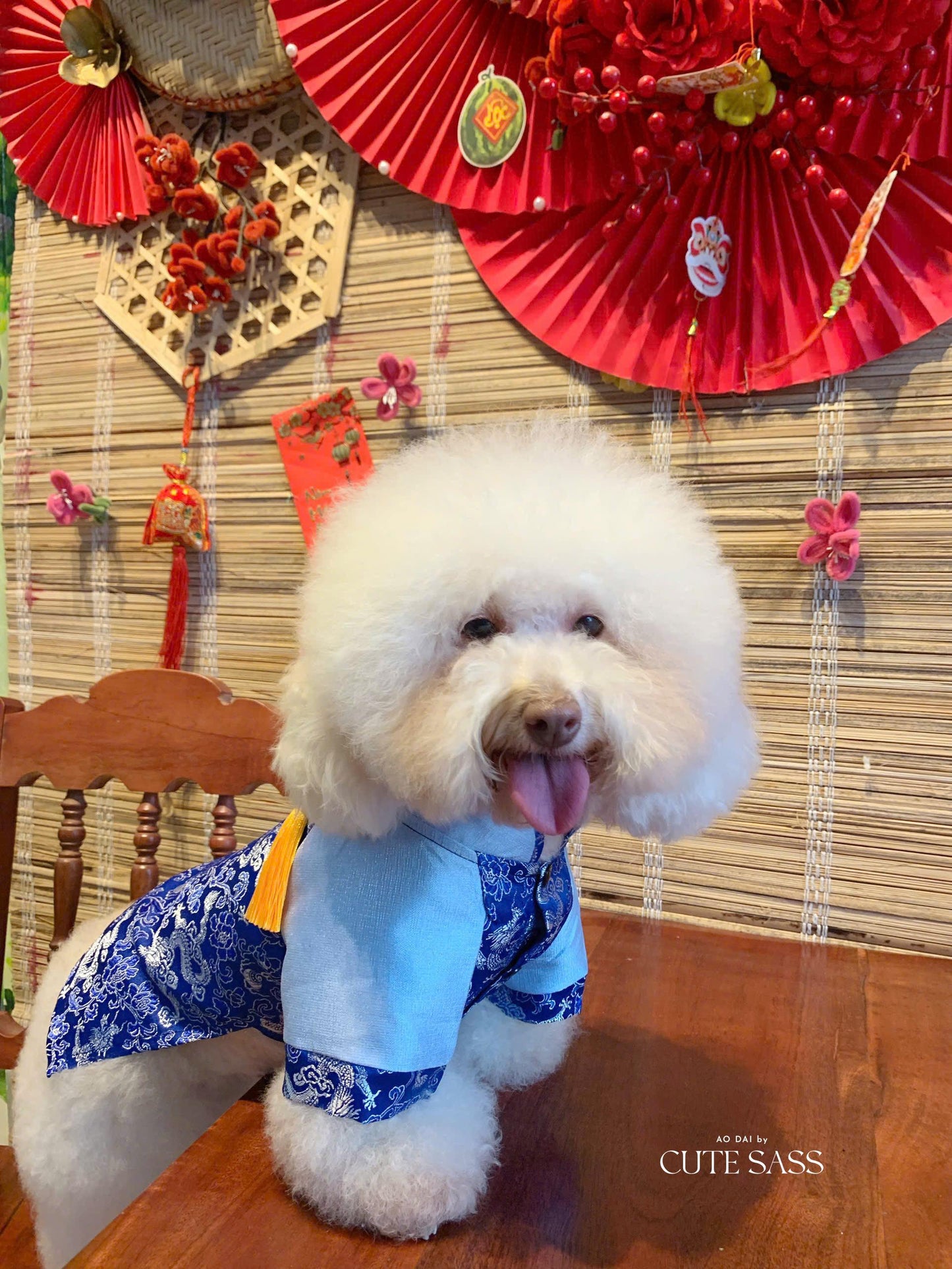 Pet Blue Gam Yellow Tassel Ao Dai 14-15B| Pet Ao Dai Costume | Vietnamese Pet Outfit | Cute Dog and Cat Ao Dai | Lunar New Year Pet Clothes