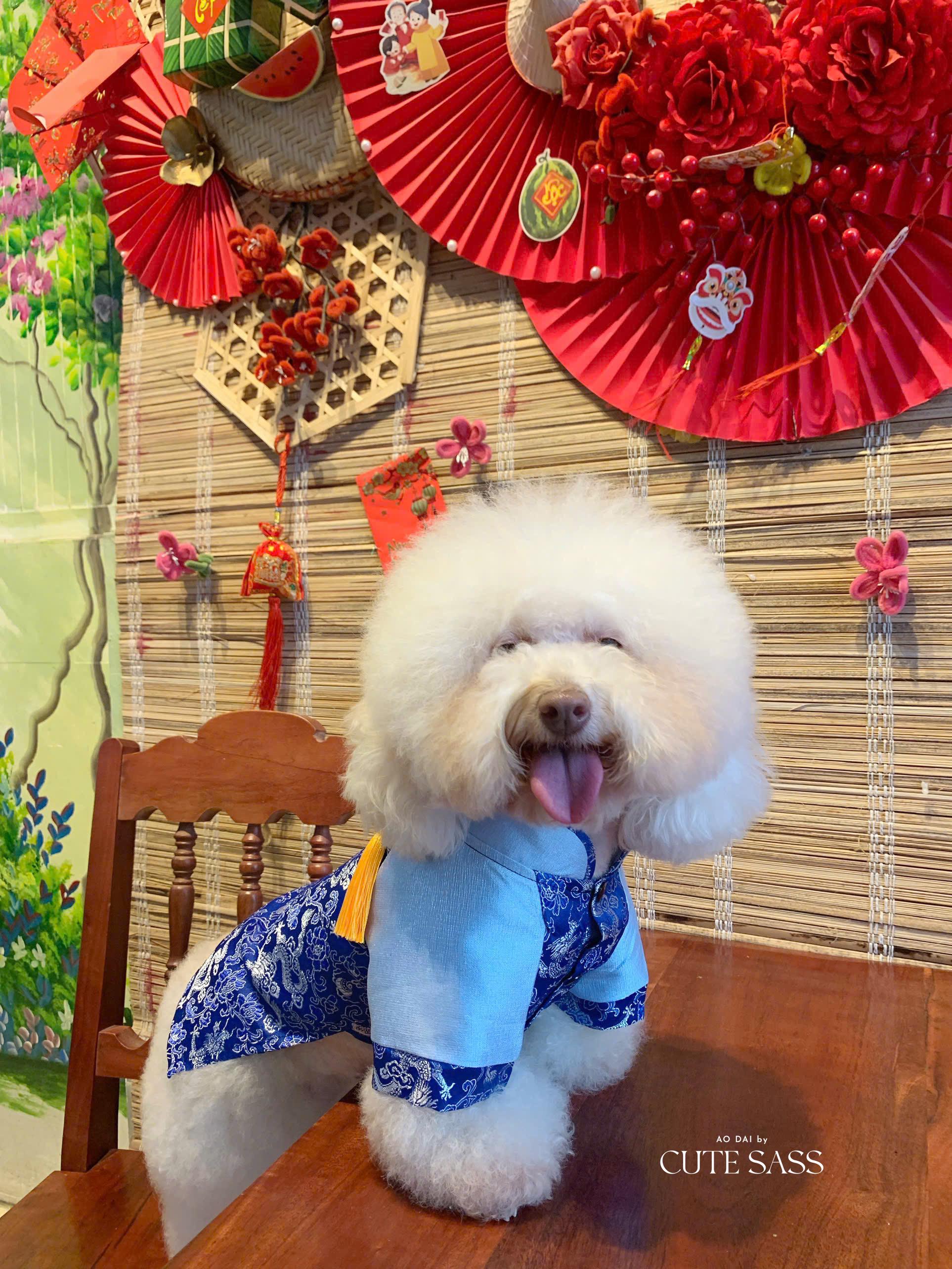 Pet Blue Gam Yellow Tassel Ao Dai 14-15B| Pet Ao Dai Costume | Vietnamese Pet Outfit | Cute Dog and Cat Ao Dai | Lunar New Year Pet Clothes