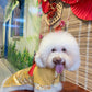 Pet Yellow Gam Red Tassel Ao Dai 14-15B| Pet Ao Dai Costume | Vietnamese Pet Outfit | Cute Dog and Cat Ao Dai | Lunar New Year Pet Clothes