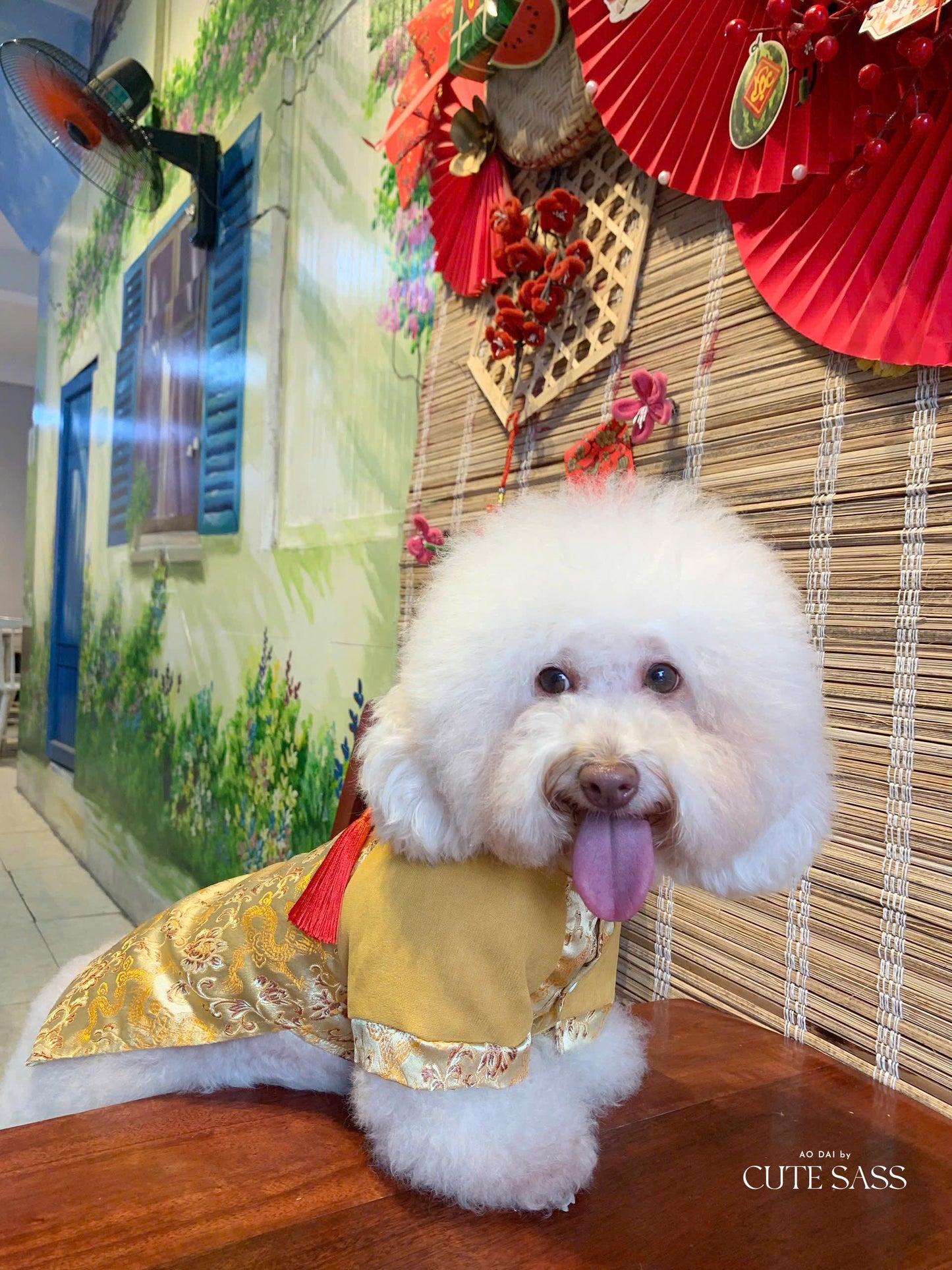 Pet Yellow Gam Red Tassel Ao Dai 14-15B| Pet Ao Dai Costume | Vietnamese Pet Outfit | Cute Dog and Cat Ao Dai | Lunar New Year Pet Clothes