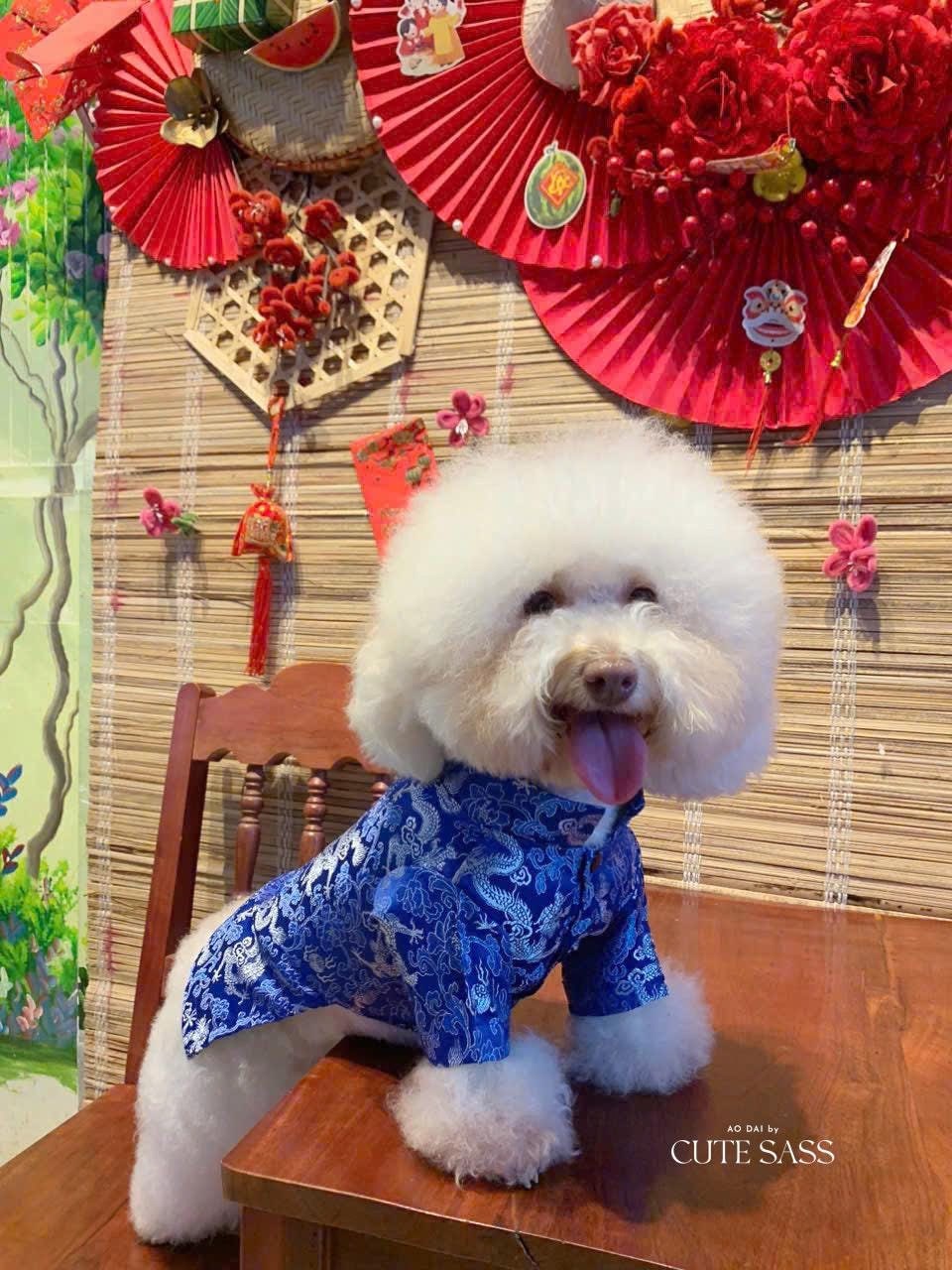 Pet Blue Gam Traditional Ao Dai with Khan Dong (Headband) |Vietnamese Pet Outfit|Cute Dog and Cat Ao Dai|Lunar New Year Pet Clothes|