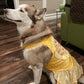Pet Yellow Daisy Halter Ao Dai 14-15B