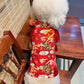 Pet Gam with Buttons Ao Dai (Red, Blue, Yellow| Pet Ao Dai Costume | Vietnamese Pet Outfit | Cute Dog and Cat Ao Dai | Lunar New Year Pet