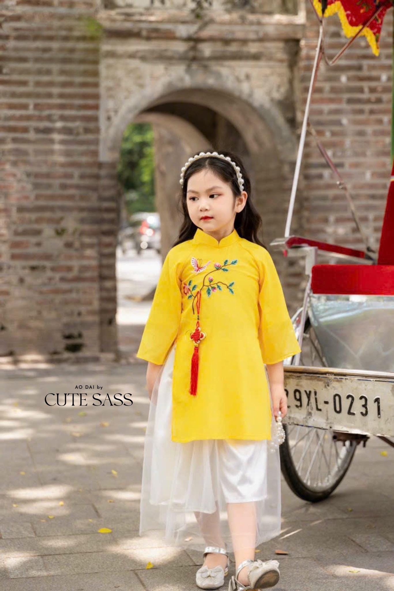 Ao Dai Pin, Tassels | Ao Dai Accessories