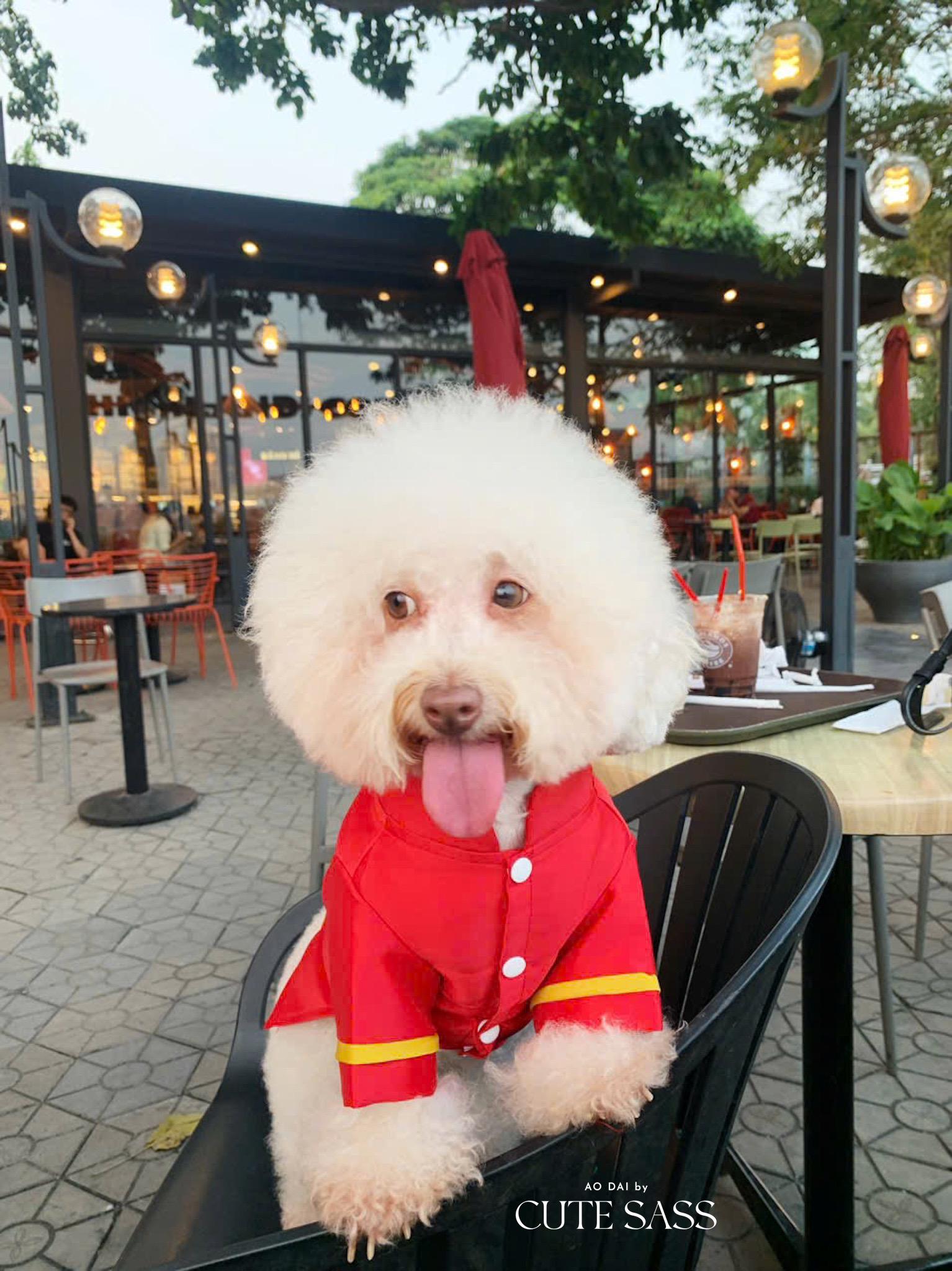 Pet Red Banh Tet Tassel Ao Dai 3B| Pet Ao Dai Costume | Vietnamese Pet Outfit | Cute Dog and Cat Ao Dai | Lunar New Year Pet Clothes |