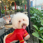 Pet Red Banh Tet Tassel Ao Dai 3B| Pet Ao Dai Costume | Vietnamese Pet Outfit | Cute Dog and Cat Ao Dai | Lunar New Year Pet Clothes |