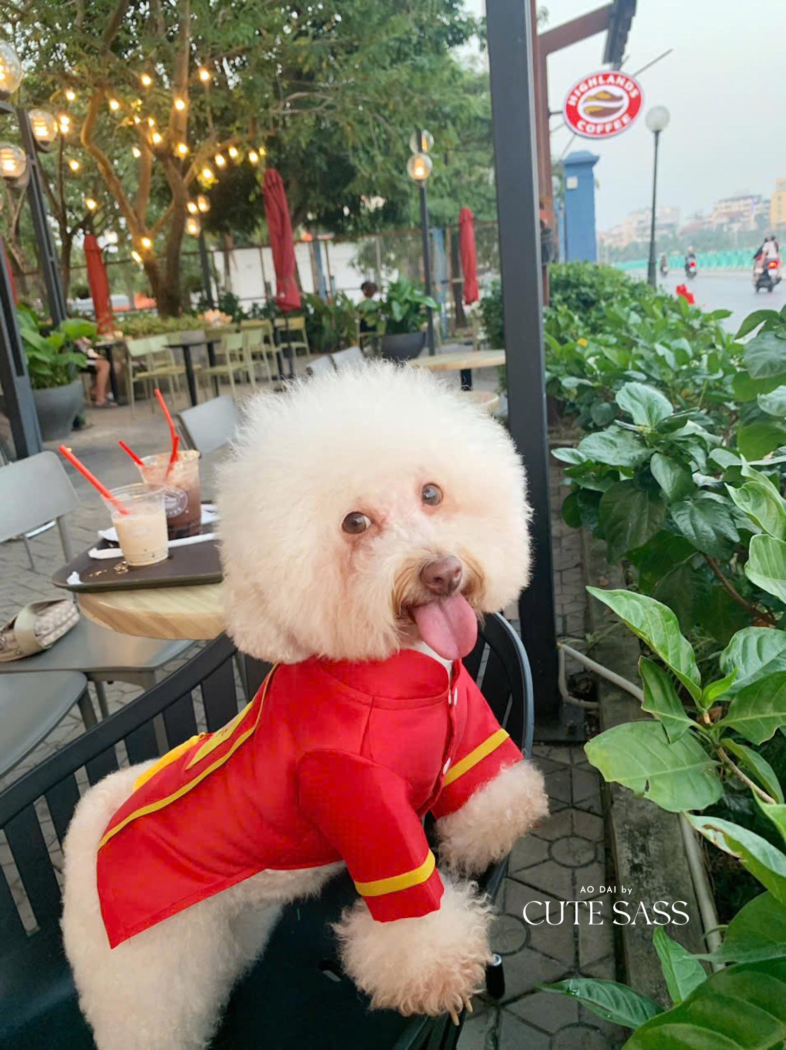 Pet Red Banh Tet Tassel Ao Dai 3B| Pet Ao Dai Costume | Vietnamese Pet Outfit | Cute Dog and Cat Ao Dai | Lunar New Year Pet Clothes |