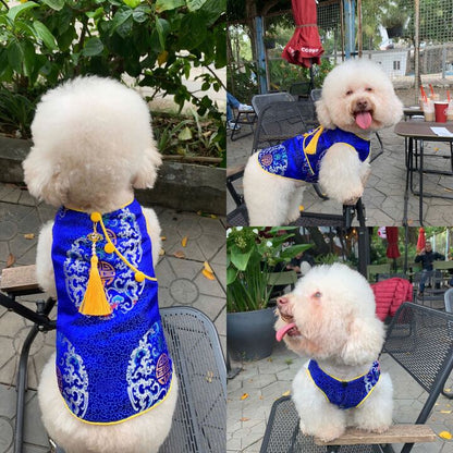 Pet Electric Blue Gam Short Sleeves Yellow Tassel Ao Dai 45A