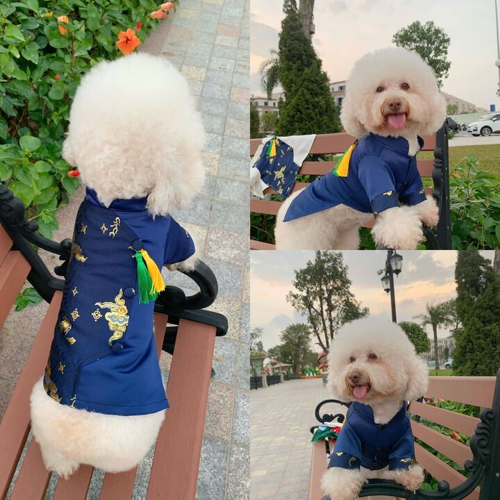 Pet Dark Blue Gam Yellow/Green Tassel Ao Dai