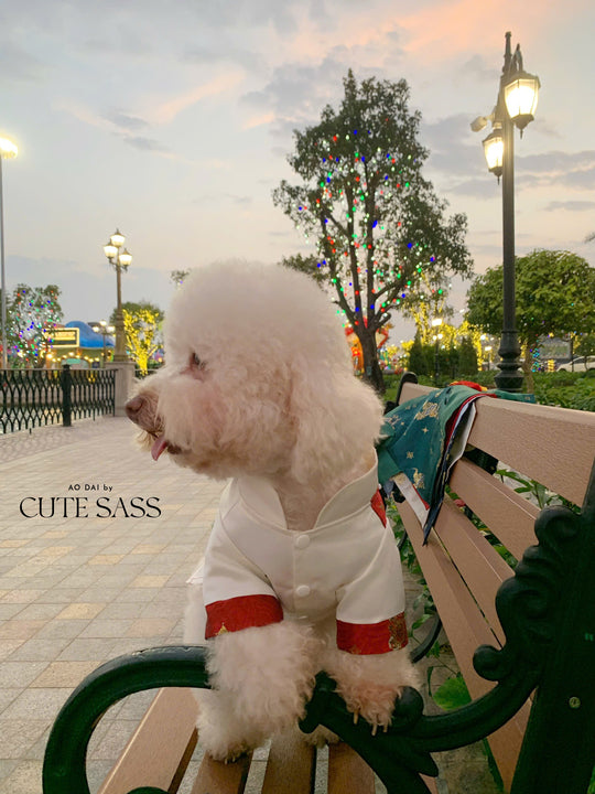 Pet Red/White Gam with Yellow/Green Tassel Ao Dai