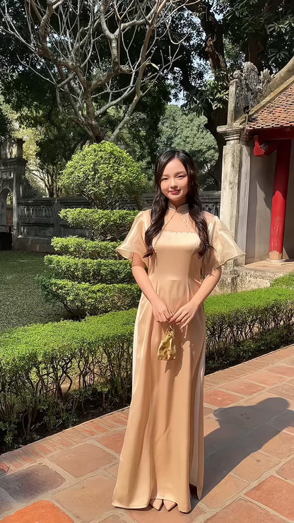 Tan Mesh Pearl Neckline Wing Sleeves Ao Dai Top Only (NO PANTS) 4E