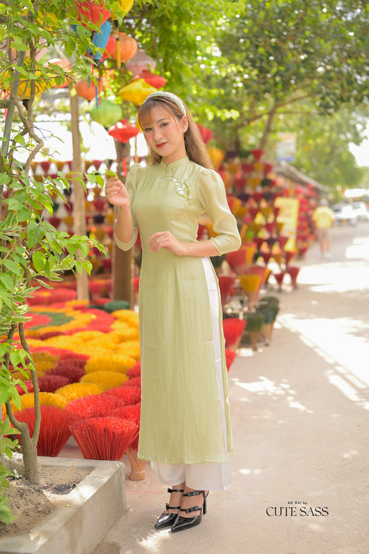 Light Green Embroidery Chiffon Ao Dai Set