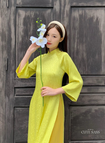 High Collar Shifted Gam Ao Dai Set